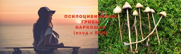 прущие крисы Алзамай