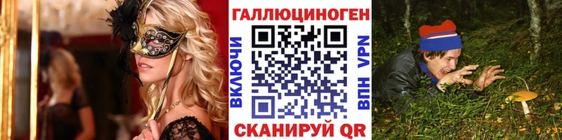 купить   Сусуман  Псилоцибиновые грибы Psilocybine cubensis 